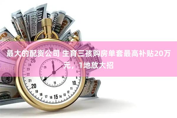 最大的配资公司 生育三孩购房单套最高补贴20万元，1地放大招