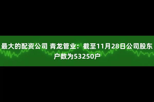 最大的配资公司 青龙管业：截至11月28日公司股东户数为53250户