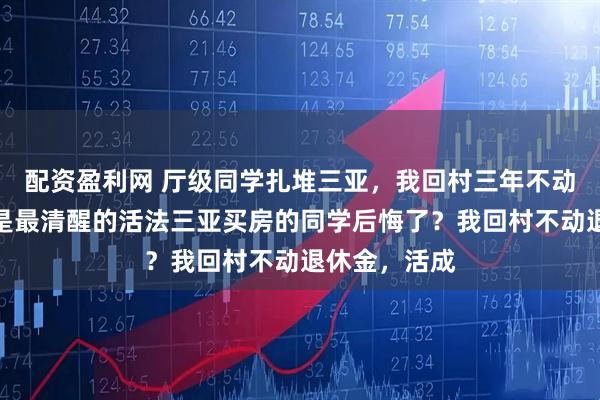 配资盈利网 厅级同学扎堆三亚，我回村三年不动退休金，才是最清醒的活法三亚买房的同学后悔了？我回村不动退休金，活成