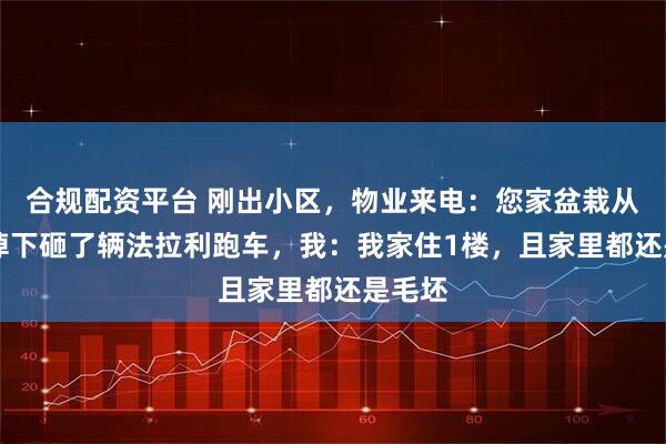 合规配资平台 刚出小区，物业来电：您家盆栽从22楼掉下砸了辆法拉利跑车，我：我家住1楼，且家里都还是毛坯